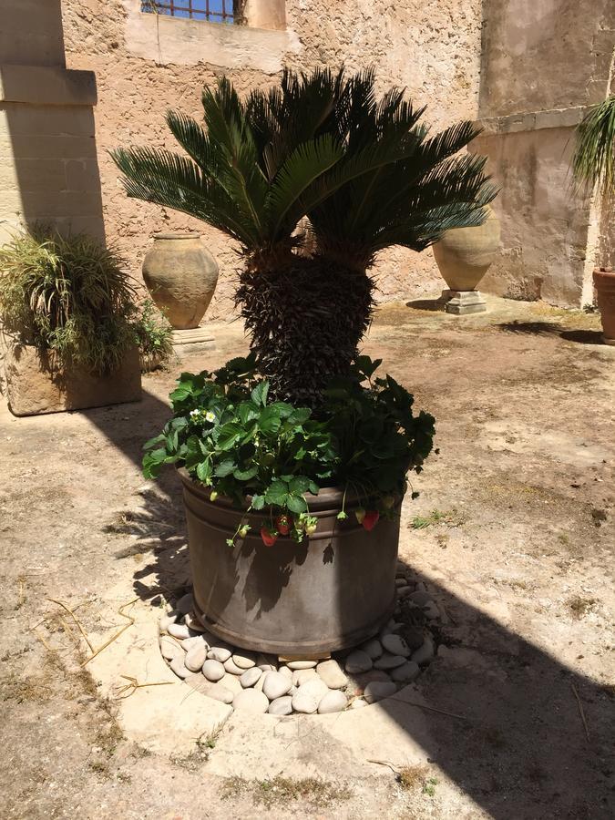 Casale Rocca Fiorita Bed and Breakfast Acate Buitenkant foto